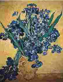 Vincent Van Gogh Still Life with Irises China oil painting art